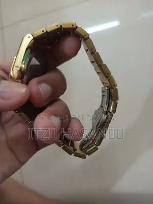 Poedagar Gold Plated Watch