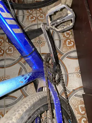 Bicycle for sale