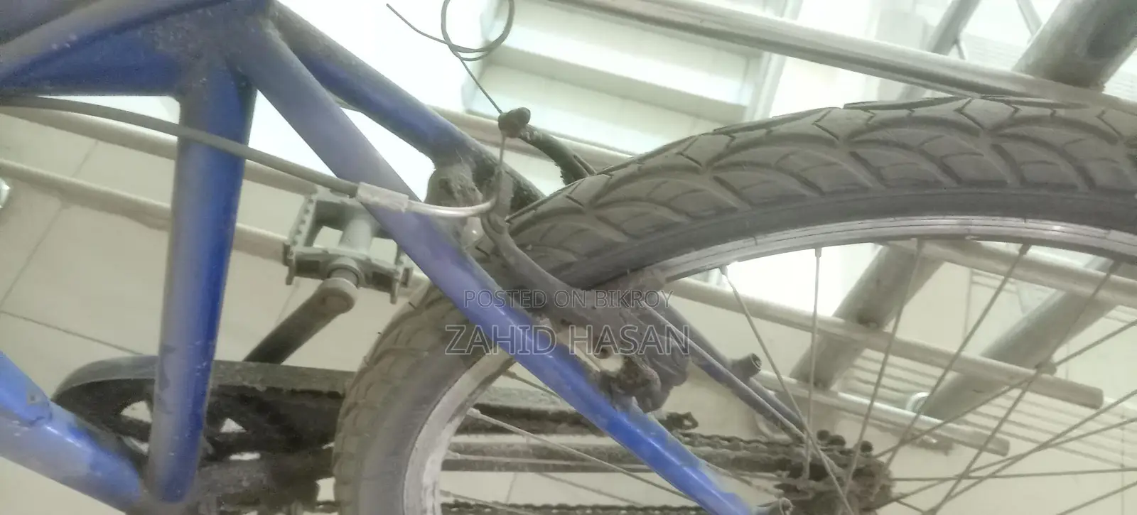 Duranta Non-Gear Cycle