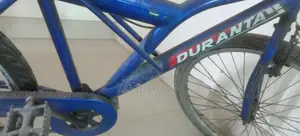 Duranta Non-Gear Cycle