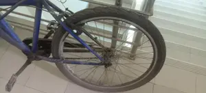 Duranta Non-Gear Cycle