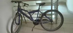 Duranta Non-Gear Cycle