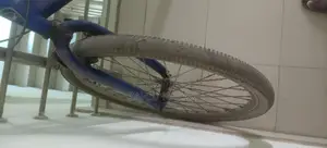 Duranta Non-Gear Cycle