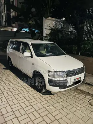 Toyota Probox 2002