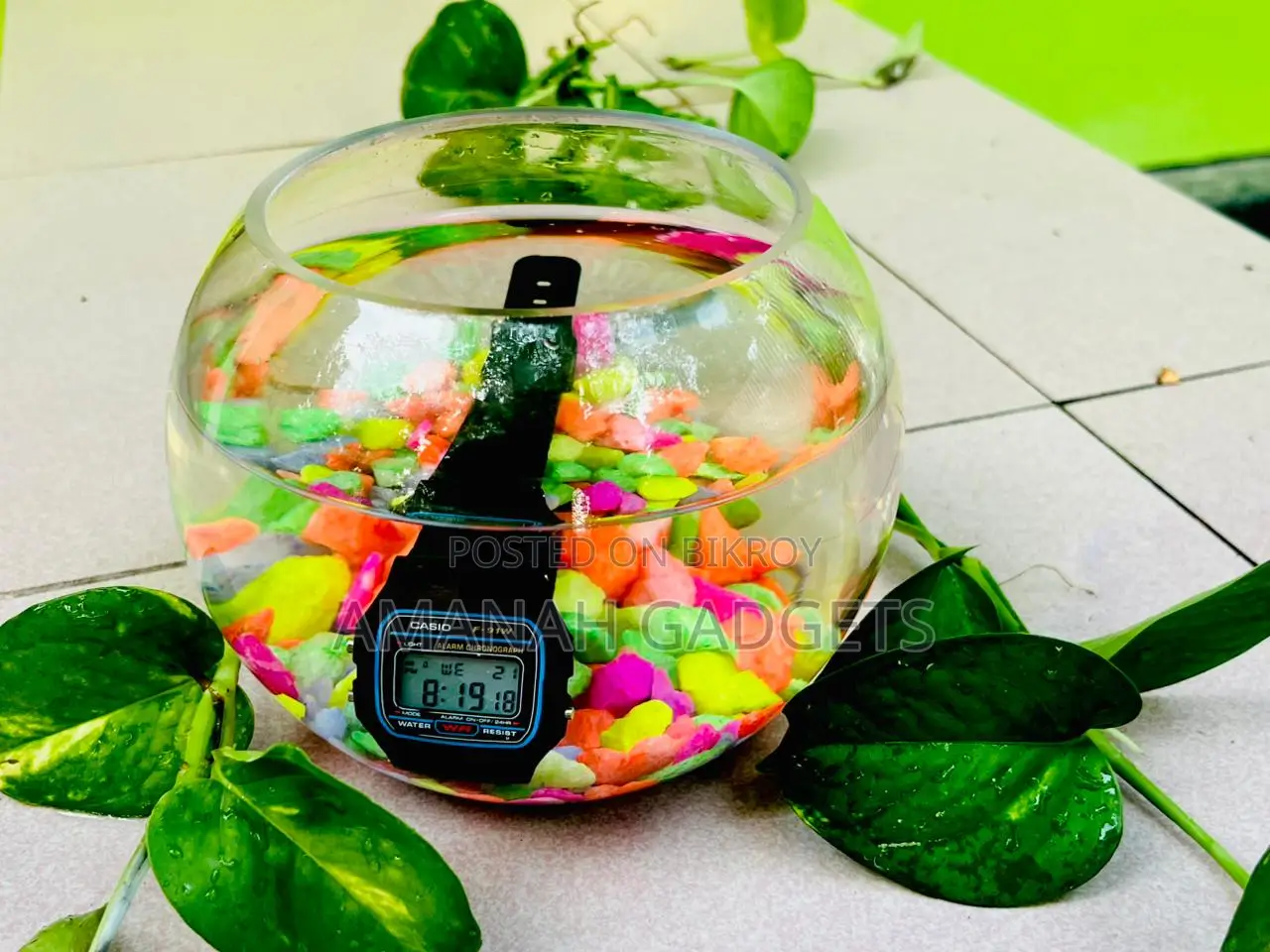 Casio F-91w Digital Watch