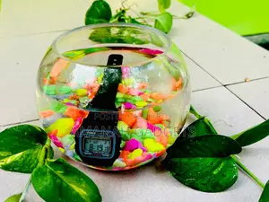 Casio F-91w Digital Watch