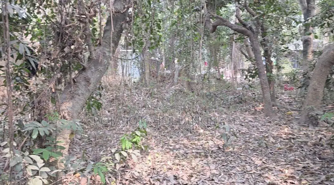 High Land for Sale for Garden House or Resort near Purbachal