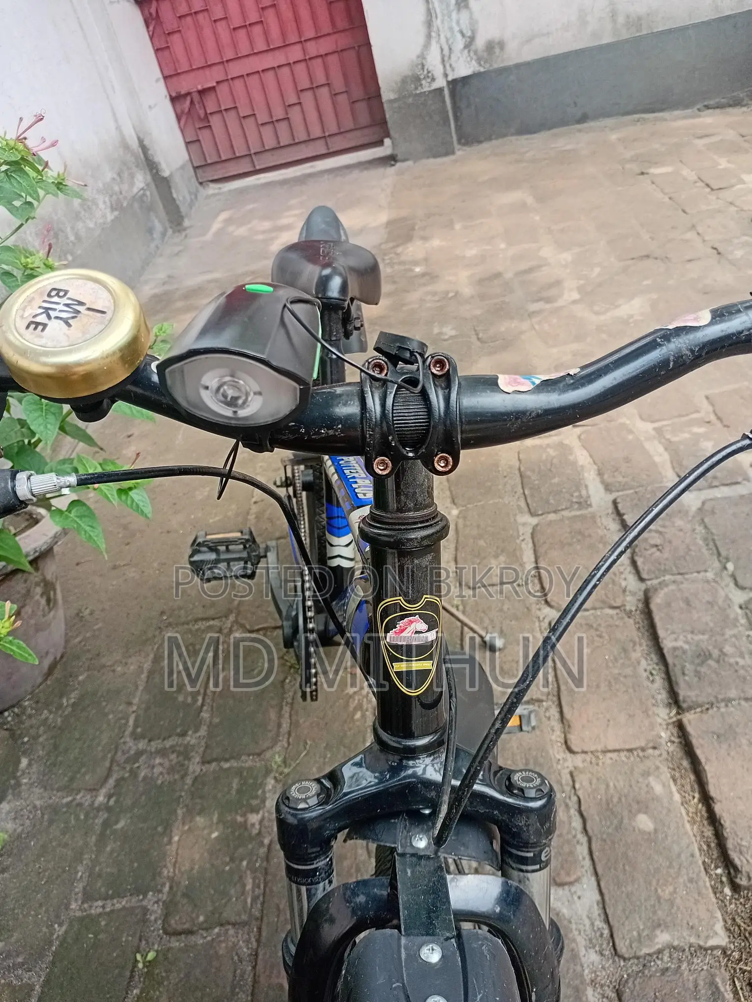 Potter Plus Duranta by Cycle