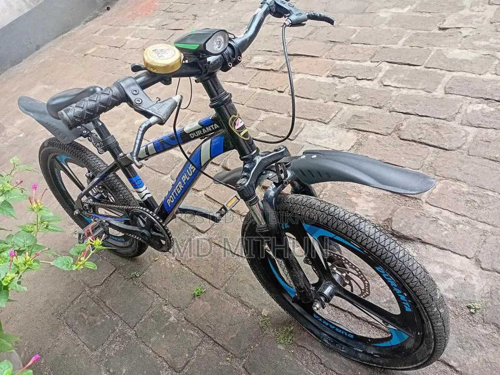 Potter Plus Duranta by Cycle
