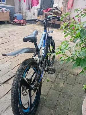 Potter Plus Duranta by Cycle