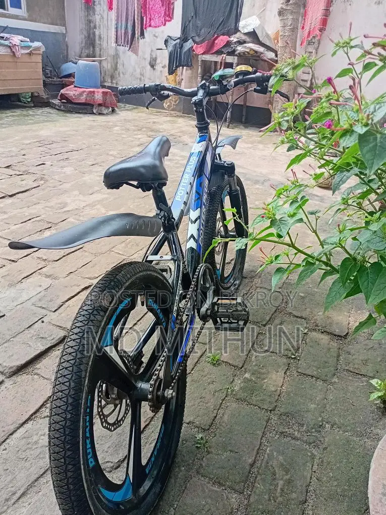 Potter Plus Duranta by Cycle