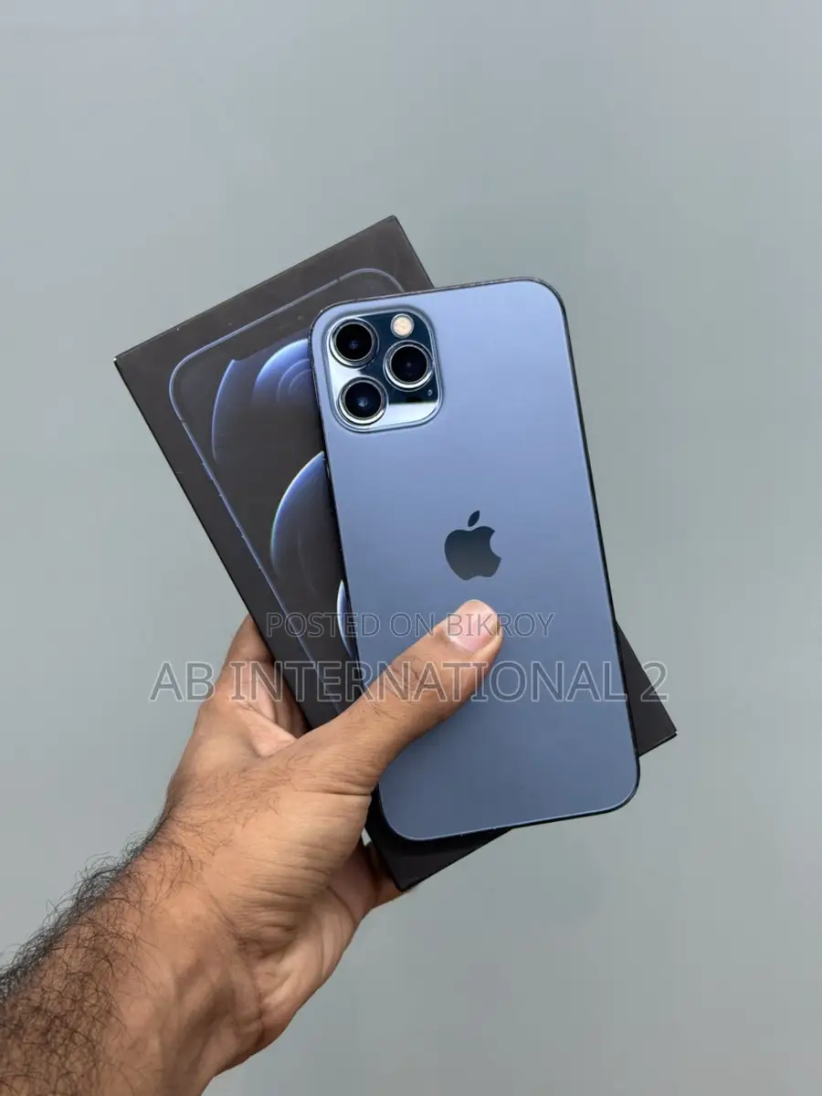 Apple iPhone 12 Pro Max 256 gb (Used)