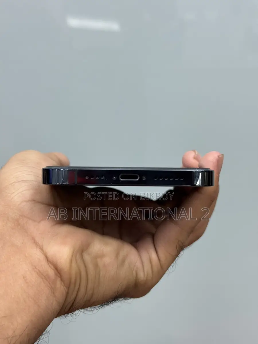 Apple iPhone 12 Pro Max 256 gb (Used)