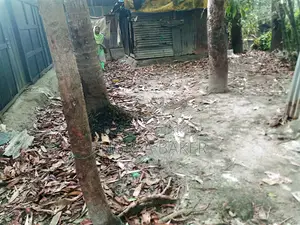 Land with House for Sale - Electricity and Water Lines Included