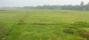 Large Commercial Land for Sale at a Low Price.