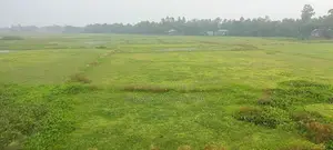 Large Commercial Land for Sale at a Low Price.