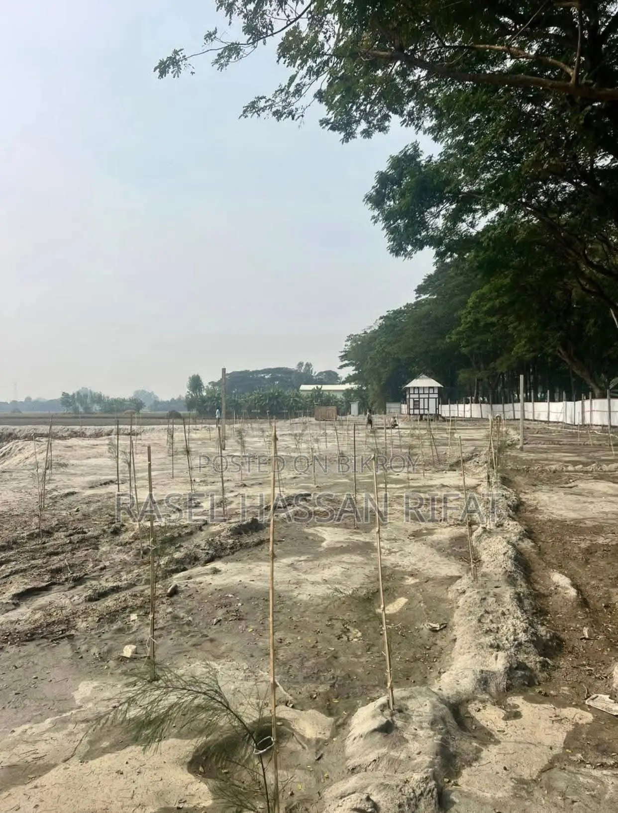 বিরতারা সিটি
