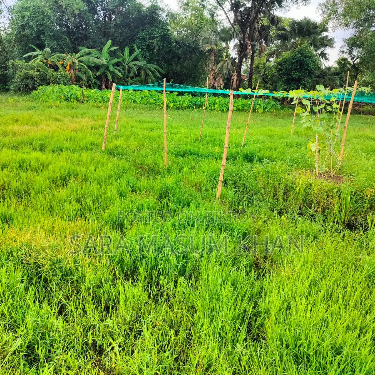 5 Katha Land for Sale