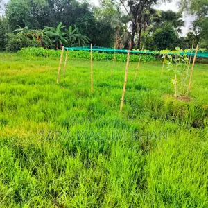 5 Katha Land for Sell