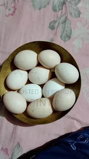 ফাওমি মুরগির বীজ ডিম
