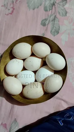 ফাওমি মুরগির বীজ ডিম
