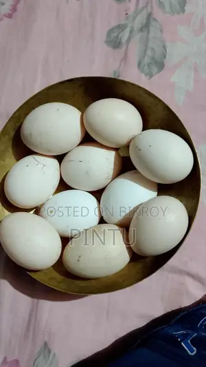 ফাওমি মুরগির বীজ ডিম