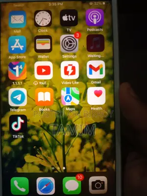 Apple iPhone 6S Plus (Used)
