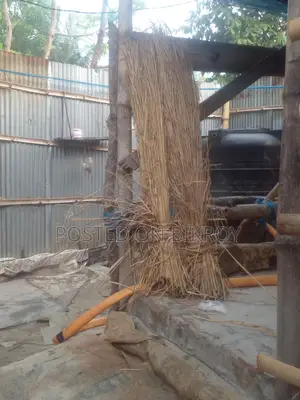 খুবই ভালো কুটে