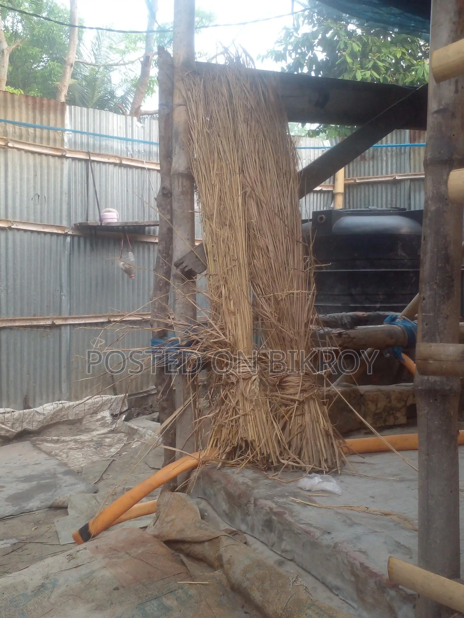 খুবই ভালো কুটে