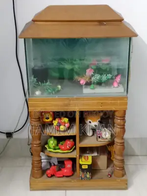 Used Aquarium for Sell
