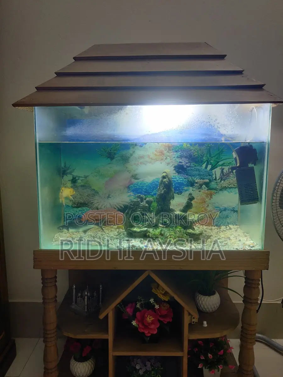 Fish Aquarium