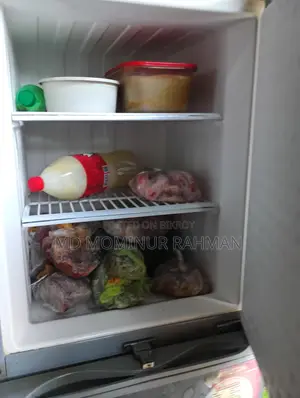 Walton Freezer