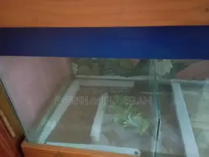 অ্যাকোয়ারিয়াম বড় সাইজ