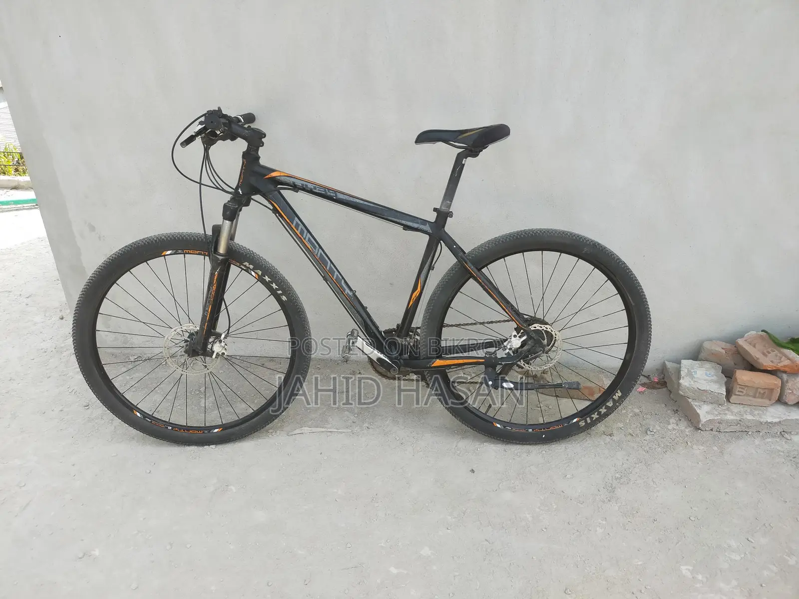 Monty - 29"