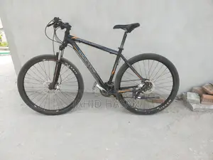Monty - 29"