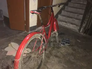 Seventy One Bicycle, Everything OK