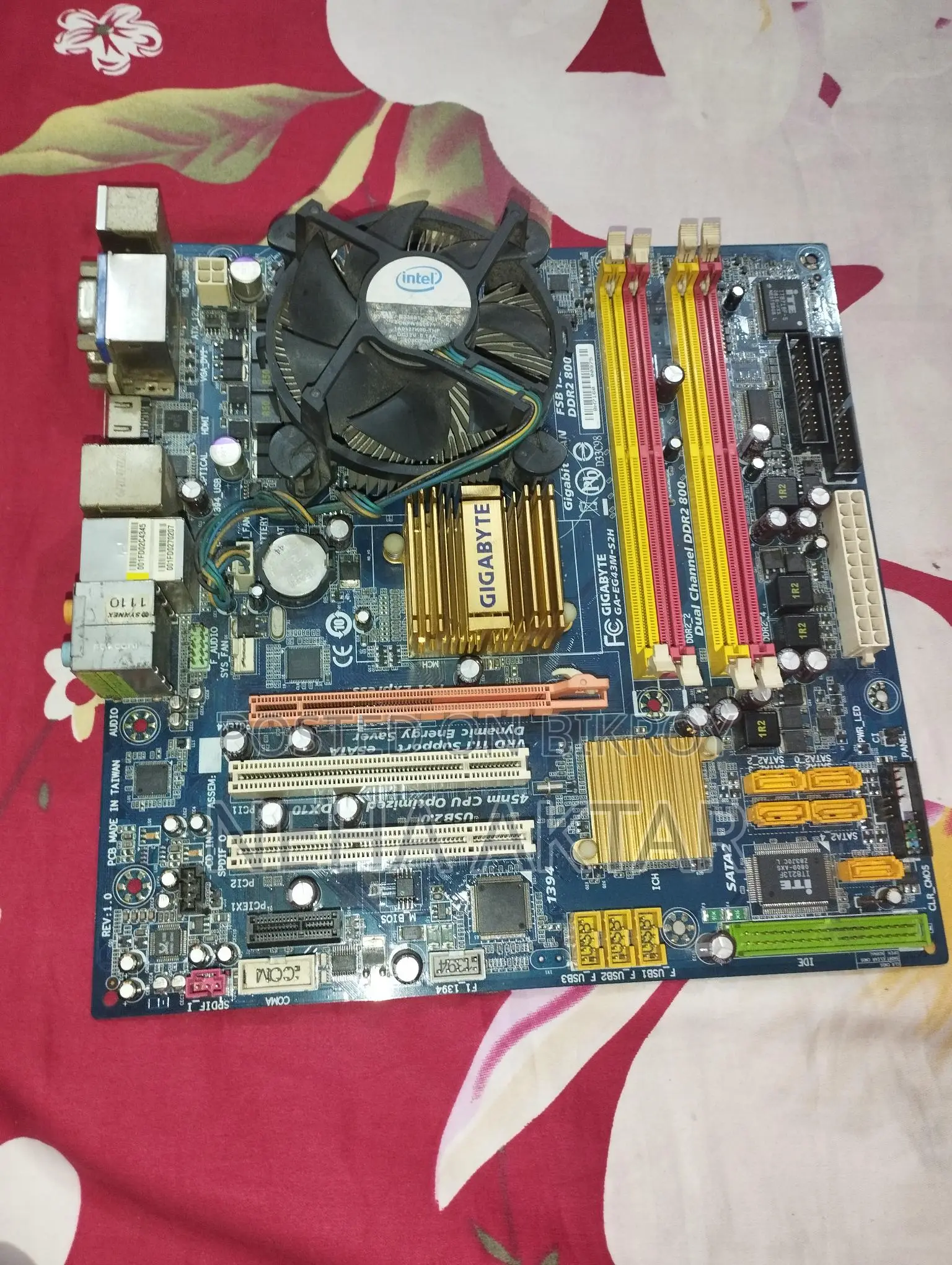 Gigabyte 43