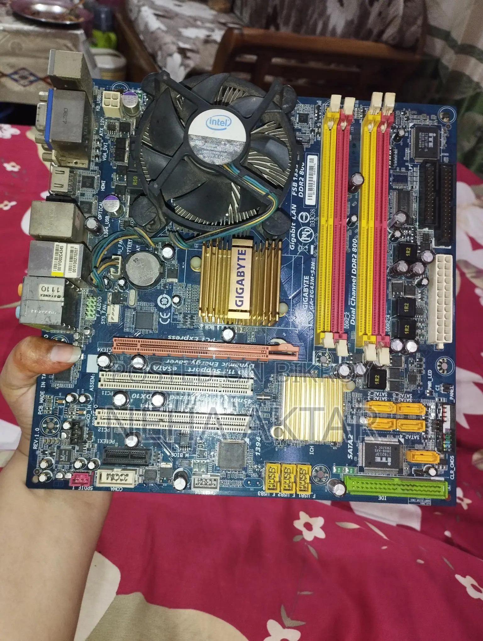 Gigabyte 43