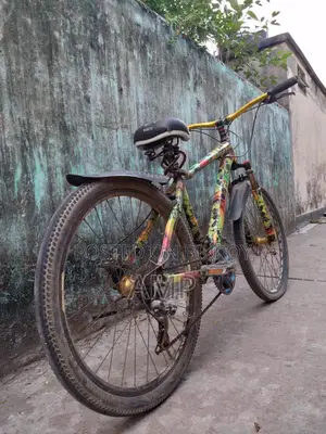 Laux Bicycle for Sale