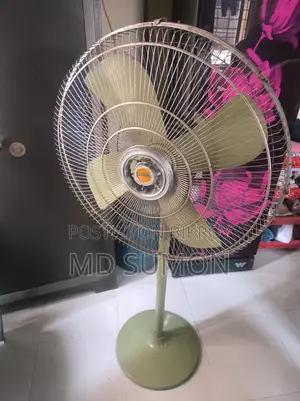 অরিজিনাল পাকিস্তানি ফ্যান