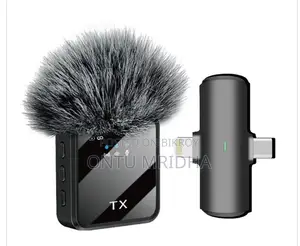 F15 Wireless Microphone