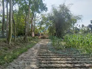 ১০ফিট রাস্তা আছে,,,উচু জমি চিকলীর বিলের পাশে