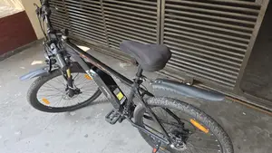 Duranta E-bike Rider 101