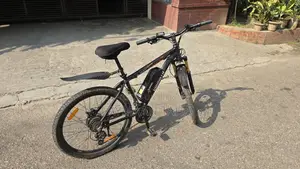 Duranta E-bike Rider 101