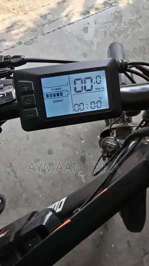 Duranta E-bike Rider 101