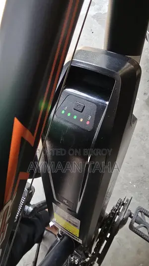 Duranta E-bike Rider 101