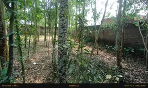 17.50 Shotok land for sale along the main road in Lalmonirhat.