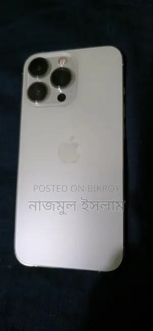Apple iPhone 13 Pro Max . (Used)