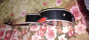 Acoustic Guitar / Signature