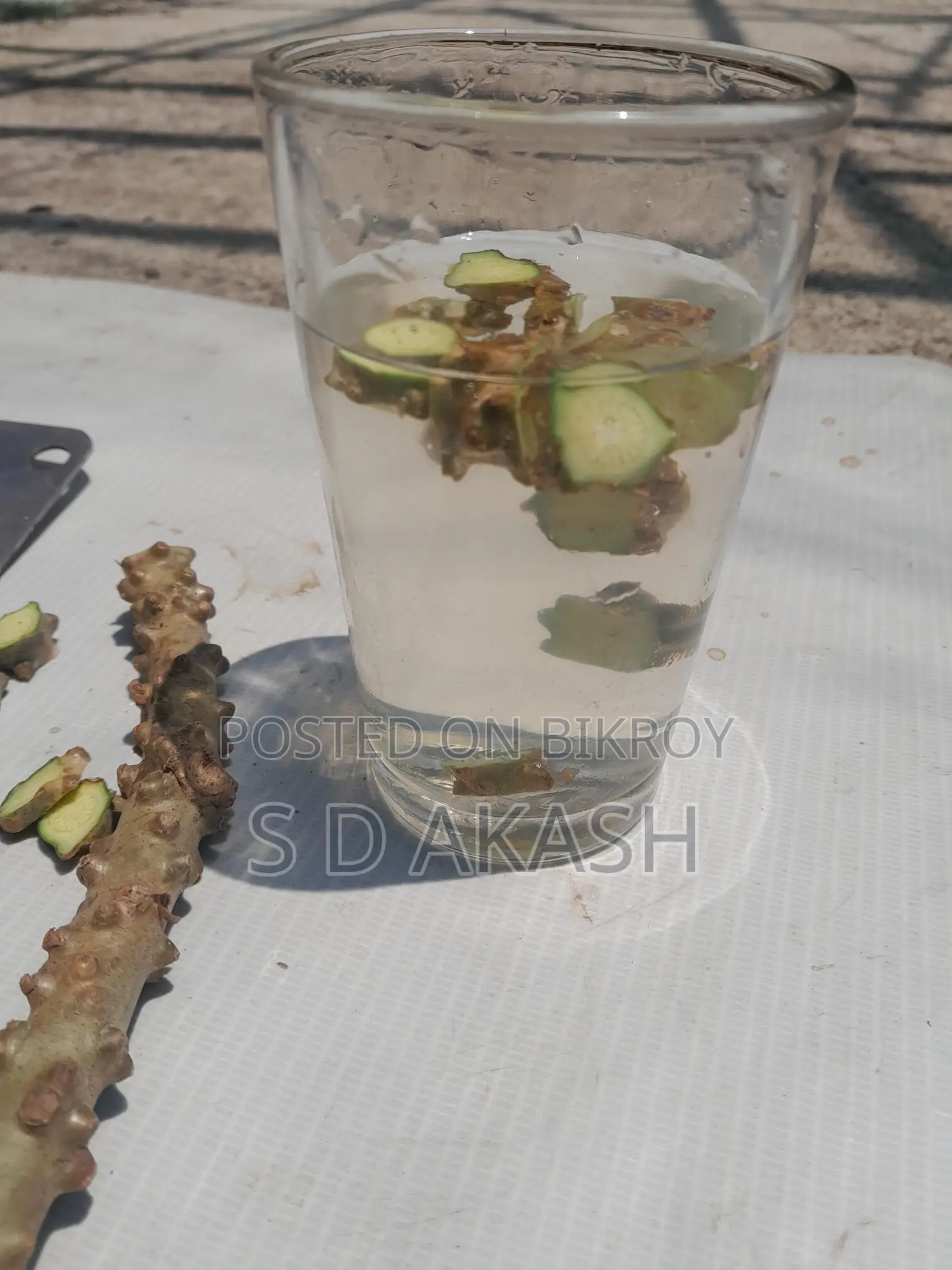 ডায়বেটিস লতা, পদ্মগুলঞ্চ,বৈজ্ঞানিক নাম: Tinospora Cordifolia